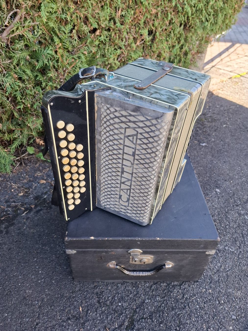 Strumenti musicali: accordéon diatonique 8 basses  – Usato da Pont-de-la-Morge venduto da Mirabelle0 4