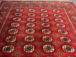 Schöner  Tekke Buchara handgeknüpfte Teppich 298x188cm