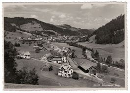 Brunnadern, gelaufen 1941