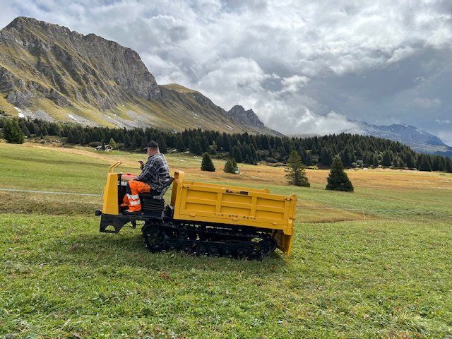 Toutes les machines: Raupenkipper/Dumper 3 to Ladegewicht – Neuf (Voir description) à Küblis par Ibbb 2