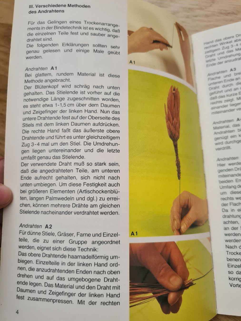 Bücher: Buch Trockengestecke – Gebraucht aus Langenthal von Polarisstern 6