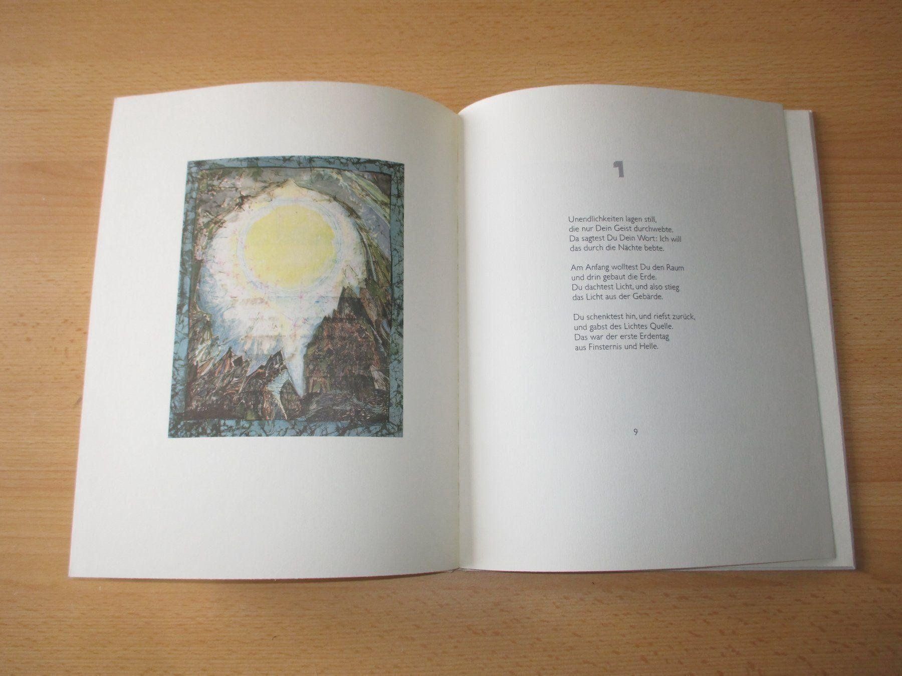 Libri: Hans W. Kopp - Schöpfung – Usato da Flims - Dorf venduto da Stagediver 3