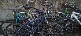 10 Velos für Export