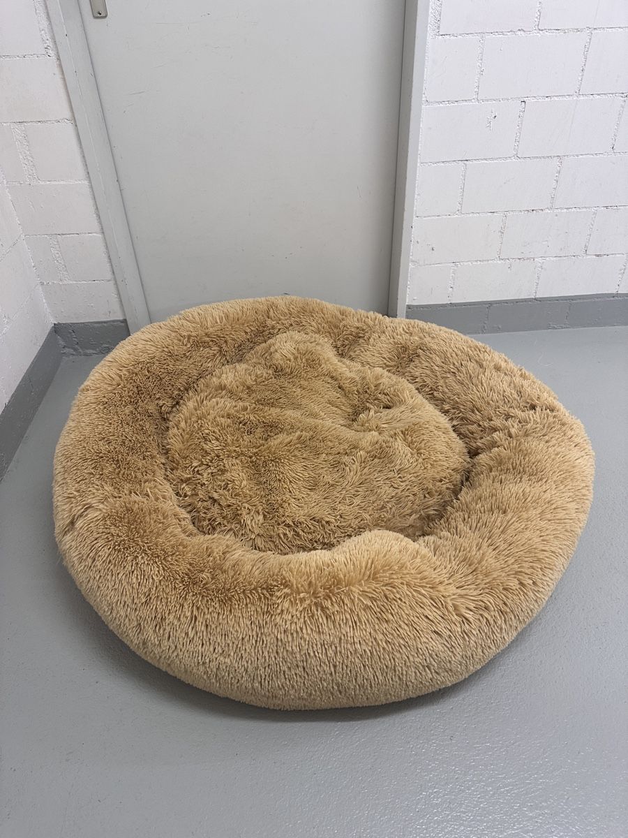 Cucce & Letti: Hundebett flauschig – Usato da Adliswil venduto da daniel.waldmeier