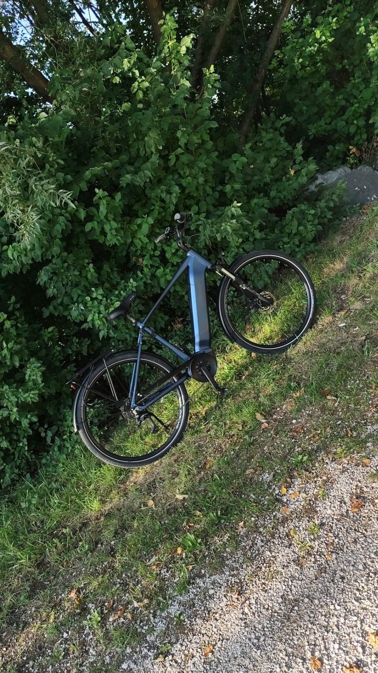 Leopard Biciclette: E-Bike Leopard Miralto – Usato da emmenbrücke venduto da xurxoskio
