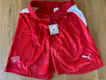 Schweizer Nati Shorts, Puma, XL