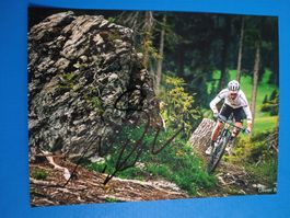Nino Schurter - 15x20cm