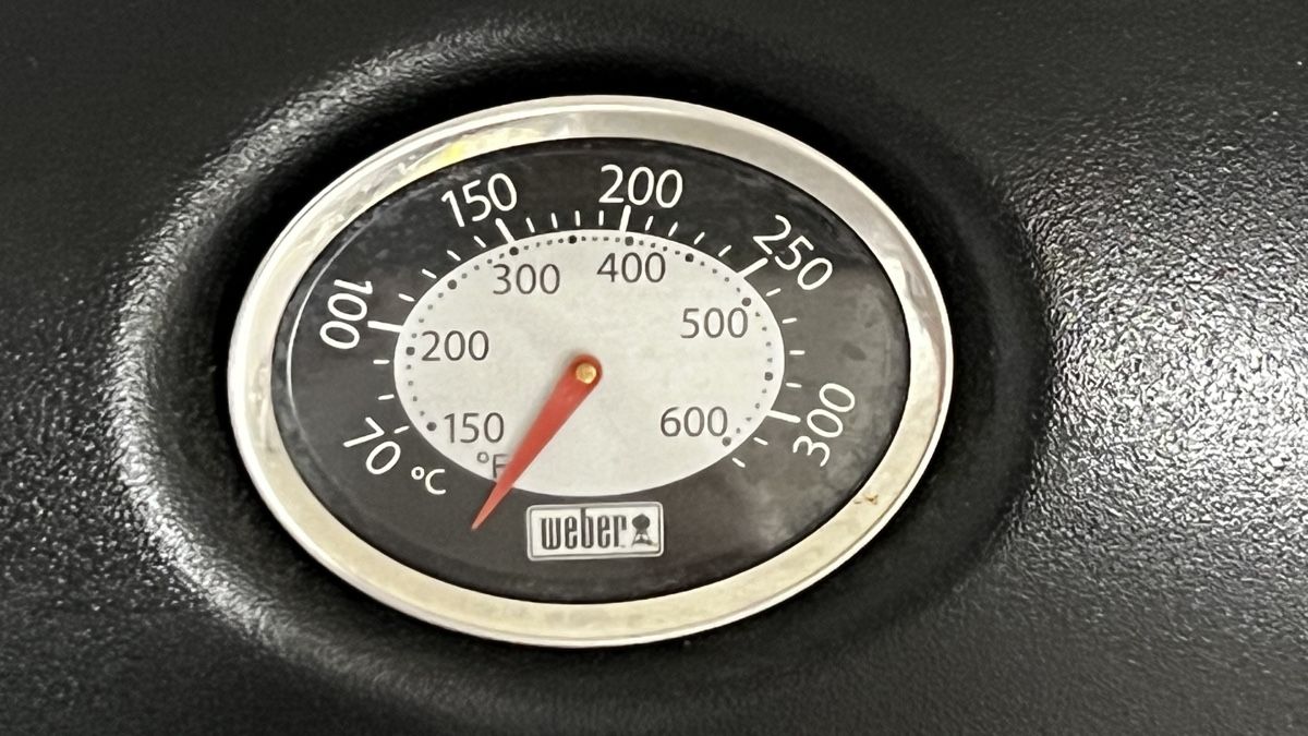 Weber Griglie: Grill – Usato da Rupperswil venduto da nesi68 3