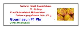 Gourmasun F1 - Ochsenherztomate - 1 Tomatensetzling