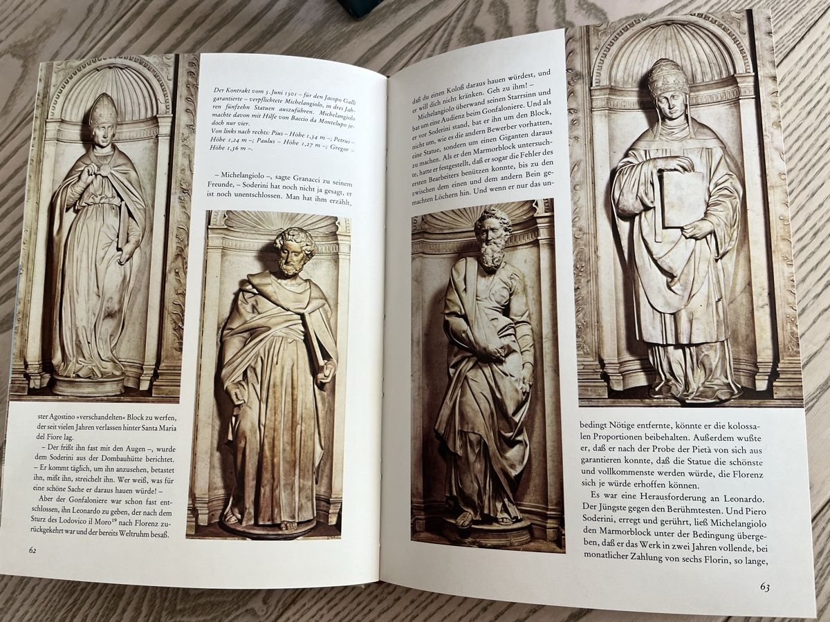 Libri: Nardini *Michelangelo - Leben und Werk – Usato da Romanshorn venduto da Apfelschuss 2