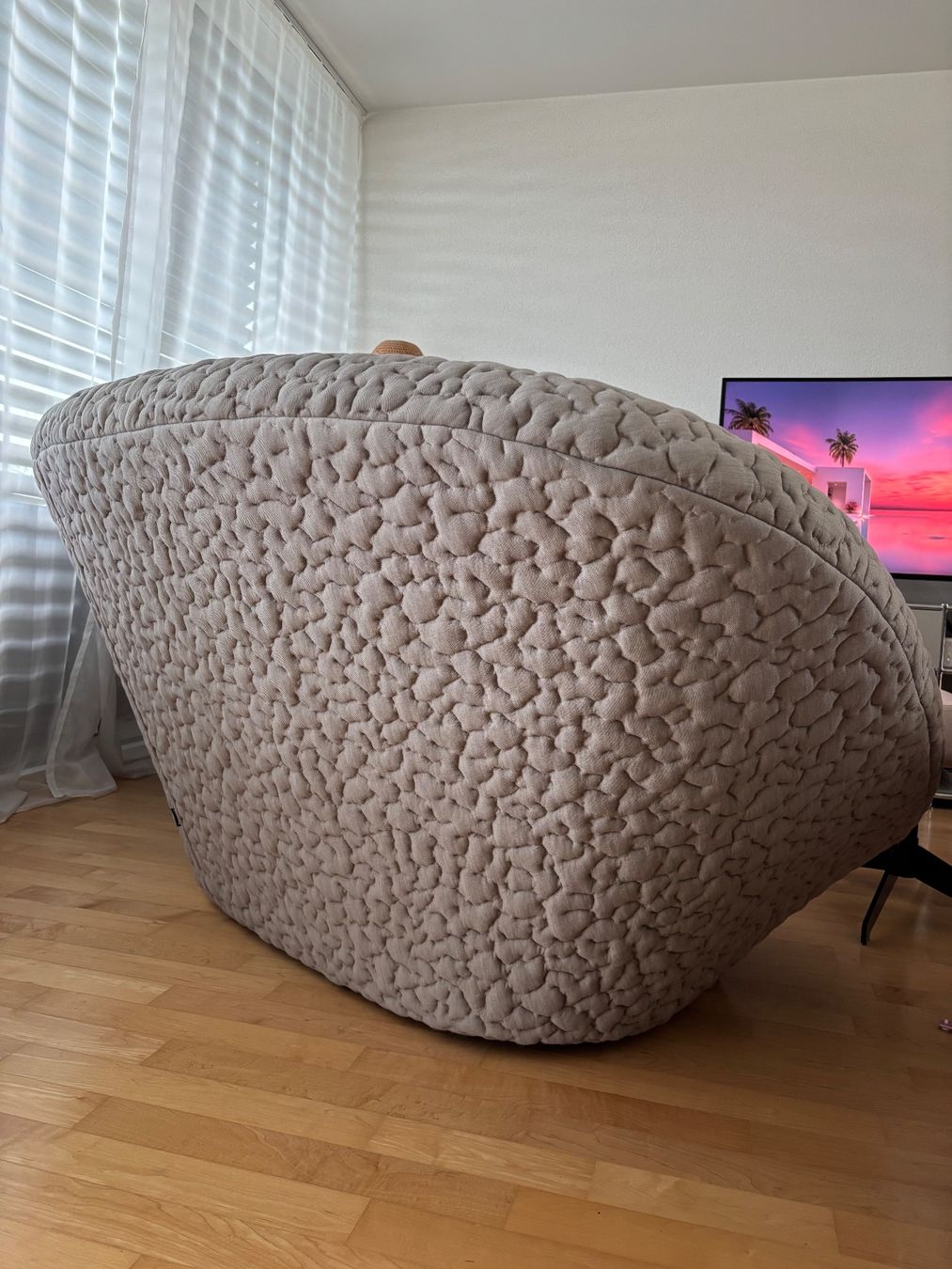 Ligne Roset Divani: LIGNE ROSET PLOUM 3 sitzer sofa - Perfekter Zustand – Usato da Wallisellen venduto da Daisy_Luxury 2