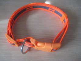 HUNDE   LEUCHT SCHUTZ   HALSBAND