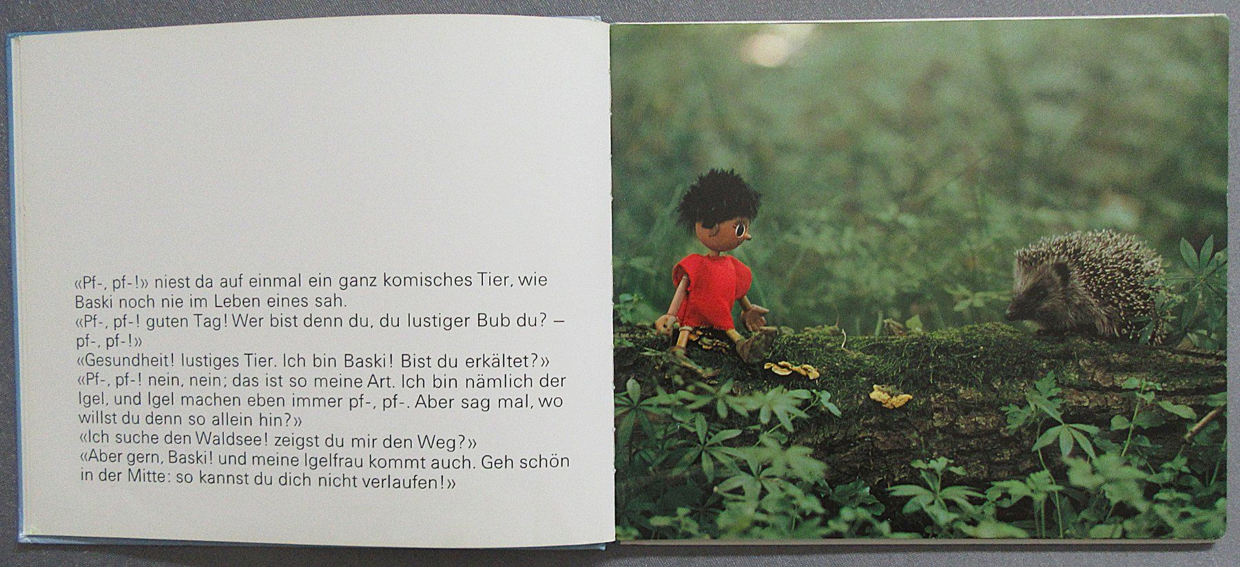 Libri: Baski - Baski's Flug mit der Wildente – Usato da Auenstein venduto da Padabimbim 2