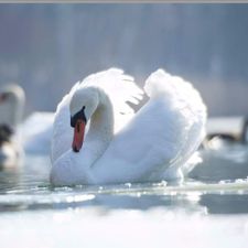 Profile image of arbon54