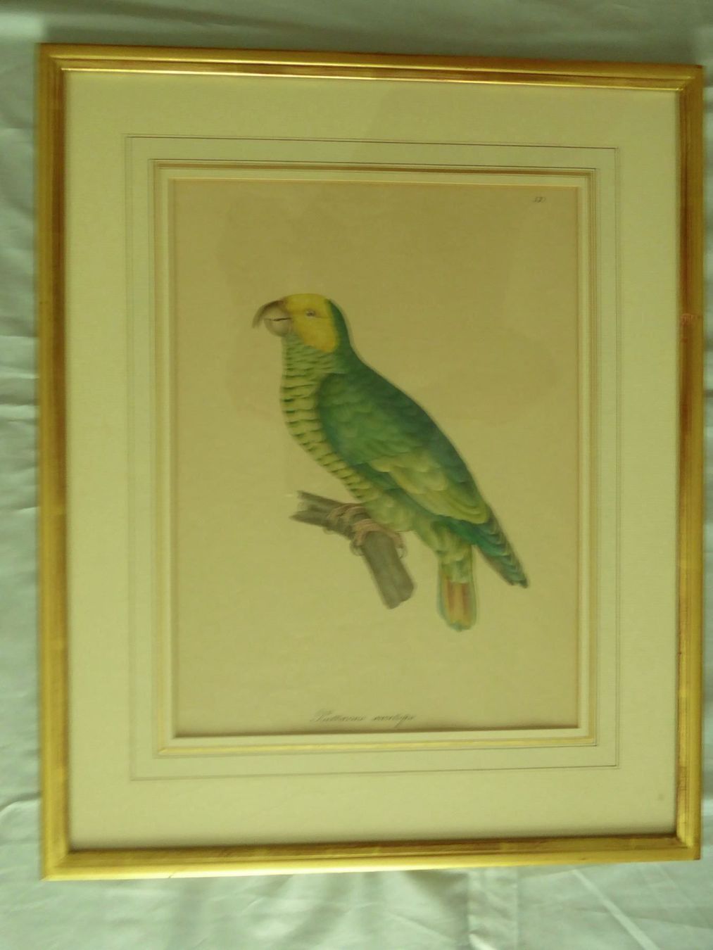 Grafiken & Lithographien: 2 Lithograpie 1842  R. Lapebier – Gebraucht aus Zürich von Chaeffeler 3