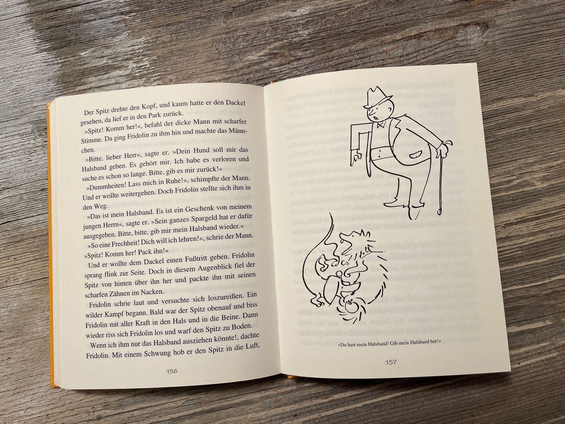 Libri: Kinderbuchklassiker:  Fridolin Eine lustige Geschichte – Usato da Pfäffikon ZH venduto da buresi 8
