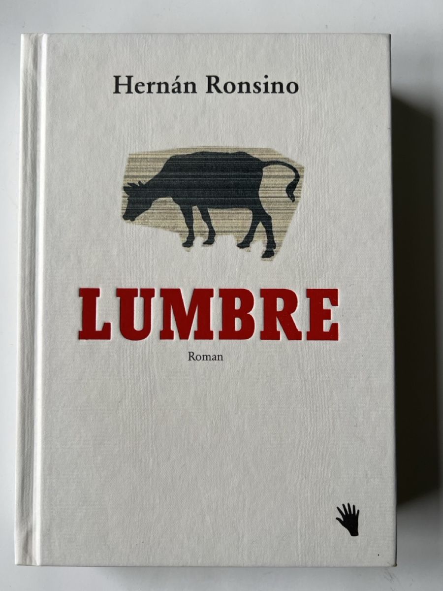 Libri: Hernan Ronsino Lumbre bilgerverlag – Usato da Luzern venduto da nochnichtaltpapier