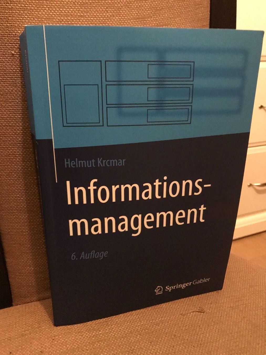 Libri: Informationsmanagement – Nuovo (secondo la descrizione) da Dottikon venduto da 6571 2