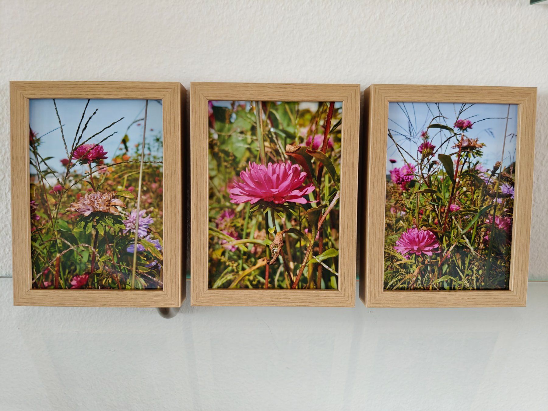 Foto & Immagini: Farbfotografie Blumen, drei Bilder – Nuovo e nell'imballaggio originale da Winterthur venduto da GDaniela