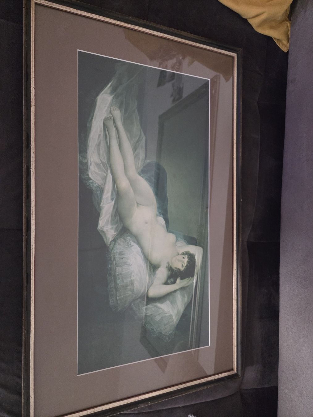 Foto & Immagini: la Maja desnuda  – Usato da Seuzach venduto da spe_95zb