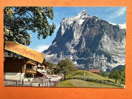 1968 38973 Grindelwald. Am Terrassenweg, Wetterhorn