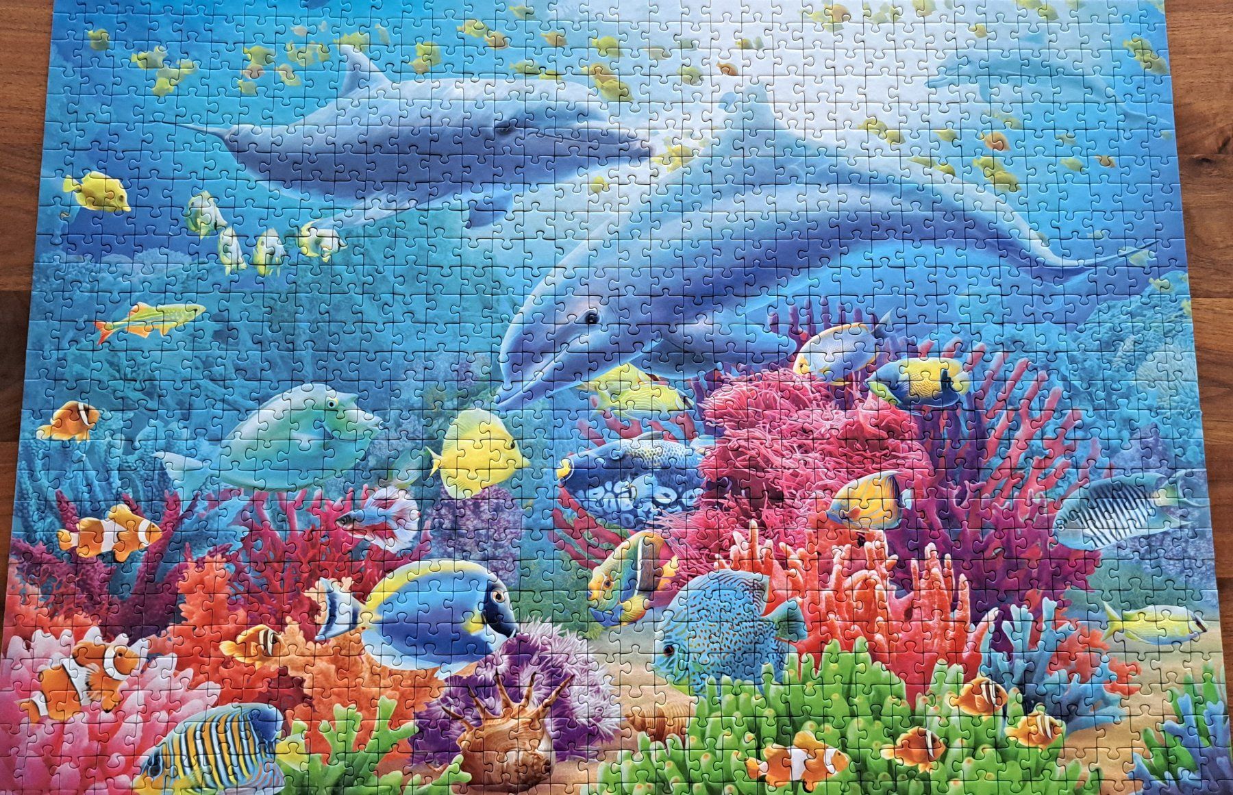 Ravensburger Puzzles: 2 Puzzles 1000 Teile – D'occasion à Arbon par Hiddl 2