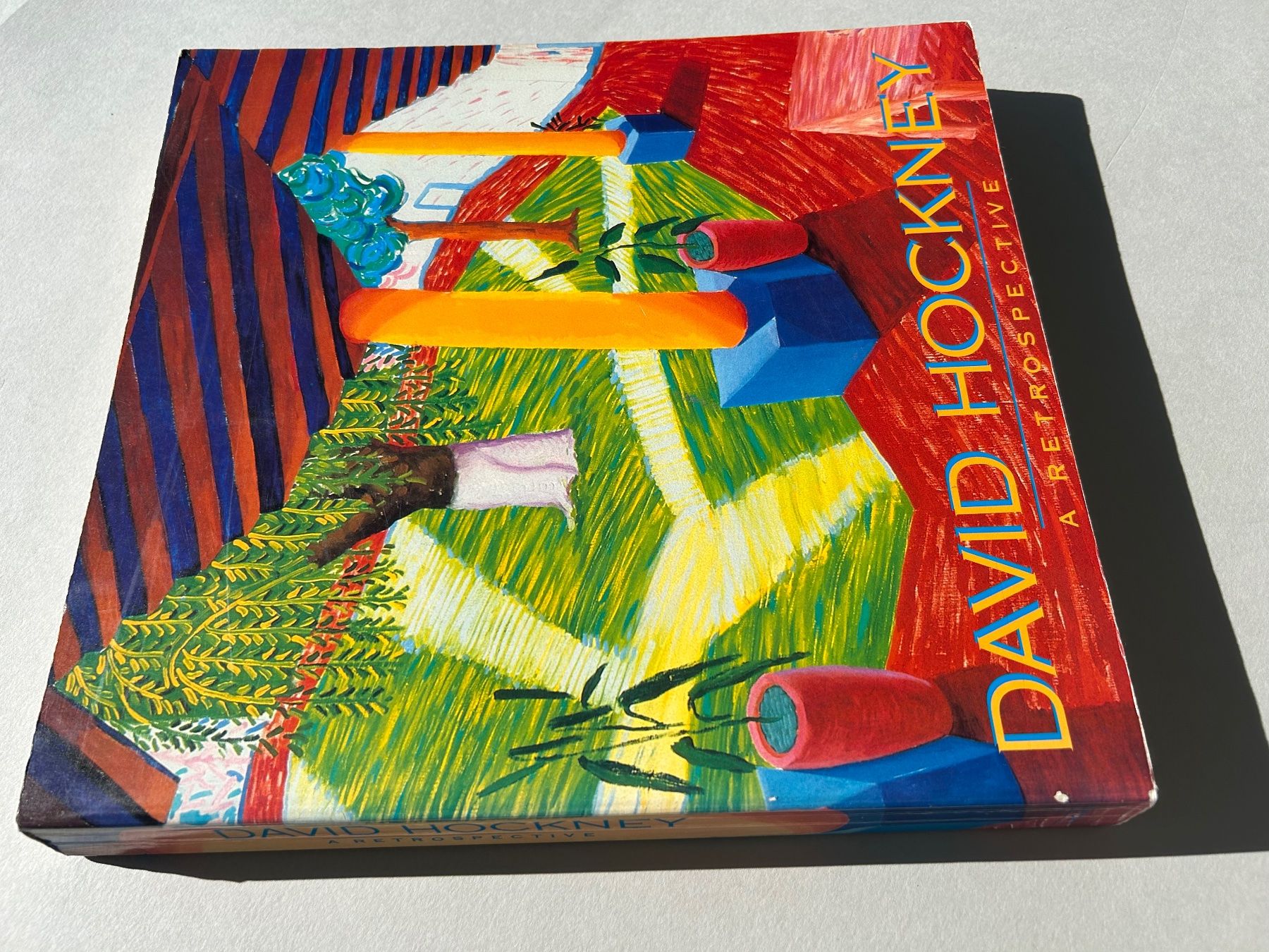 Libri: David Hockney: A Retrospective Art Book - Excellent Cond. – Usato da Zürich venduto da Coffeetable88 6