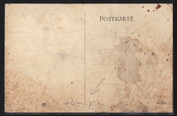 Cartoline postali: Vieselbach, Gauturnfest 1909, Turner mit – Usato da Berlin venduto da bartko-reher 1