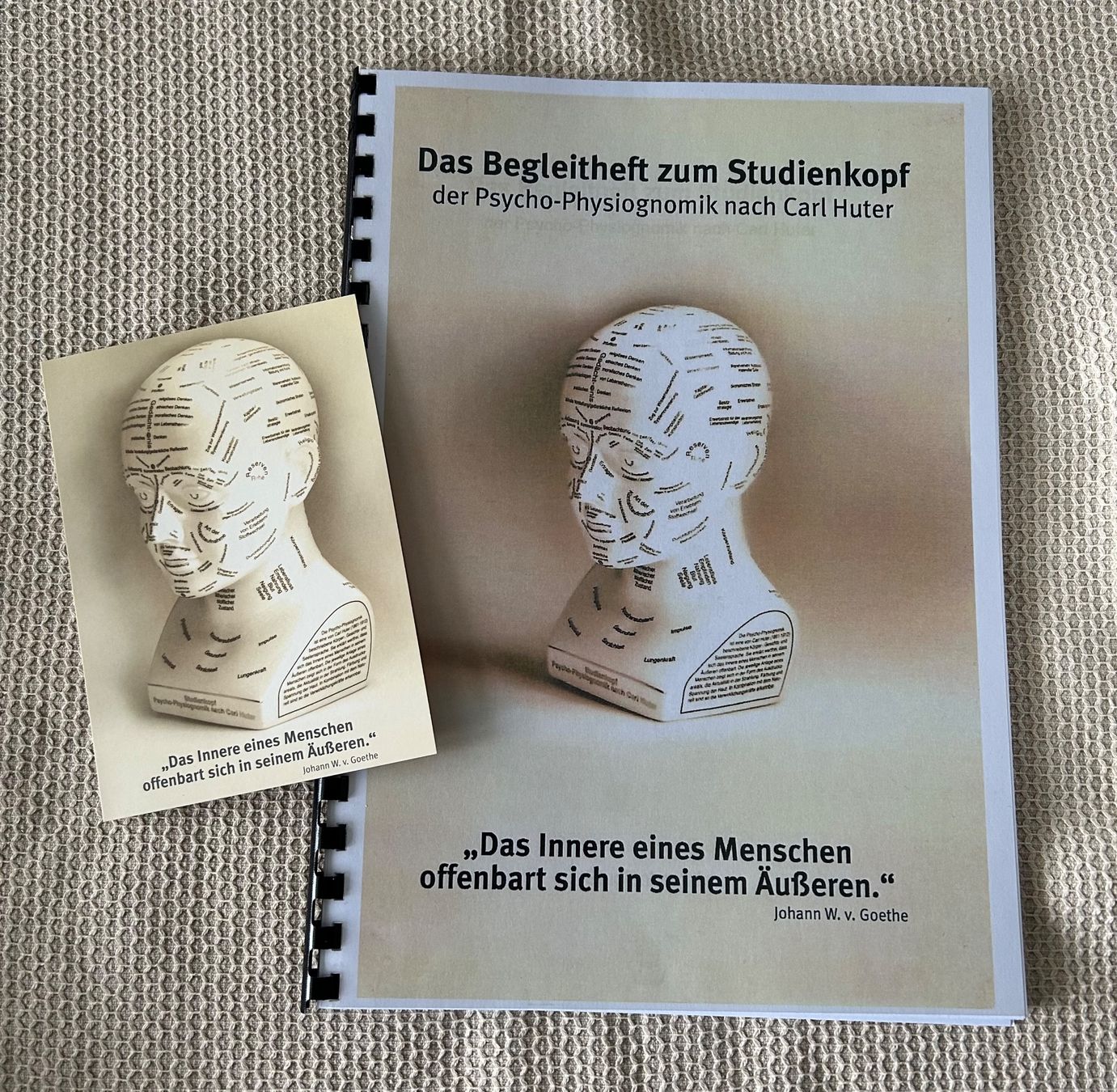 Sculture & Statue: Exklusiver Studienkopf der Psycho-Physiognomik nach C.Hutter – Nuovo e nell'imballaggio originale da Urtenen-Schönbühl venduto da framu07 7