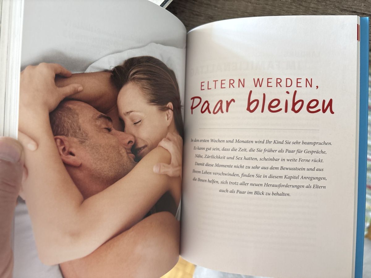 Livres: Das Papa Handbuch – Neuf (Voir description) à Schaffhausen par Reporter 4