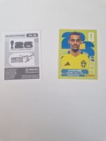Panini Sticker SWE19