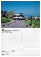 Zug Rötel Obersack Weidstrasse Zugerland ZVB Bus FBW R&J 71U