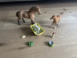 Schleich Baby Tierpflege Set
