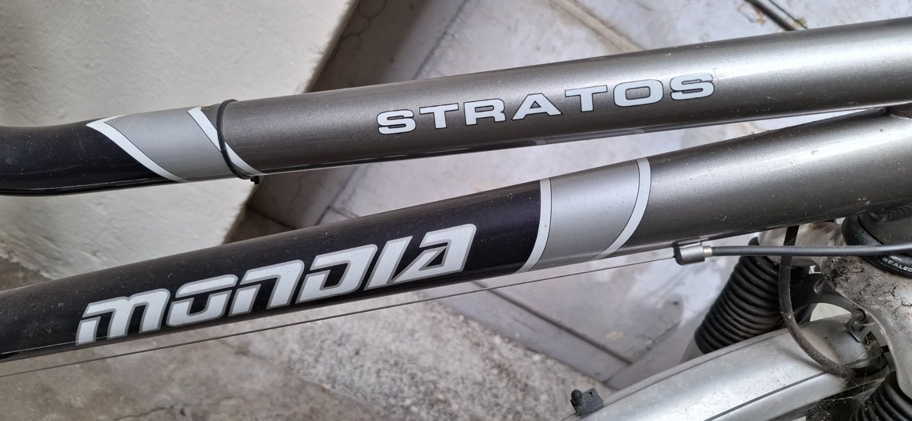 Bionx Biciclette: BionX Bike – Usato da Zürich venduto da san_f57f 5