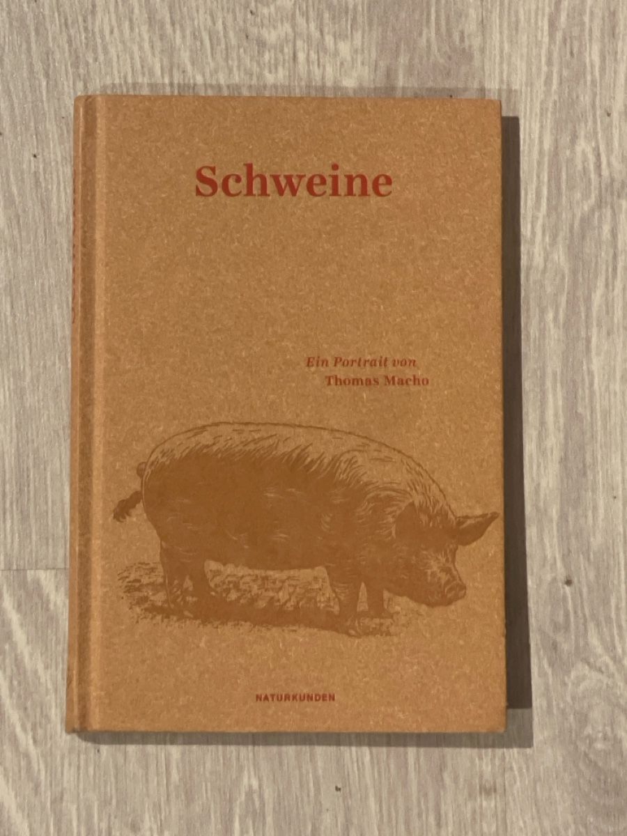 Bücher: Thomas Macho - Schweine – Neu (gemäss Beschreibung) aus Hombrechtikon von GianneE