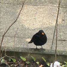 Profile image of pav_tw5c
