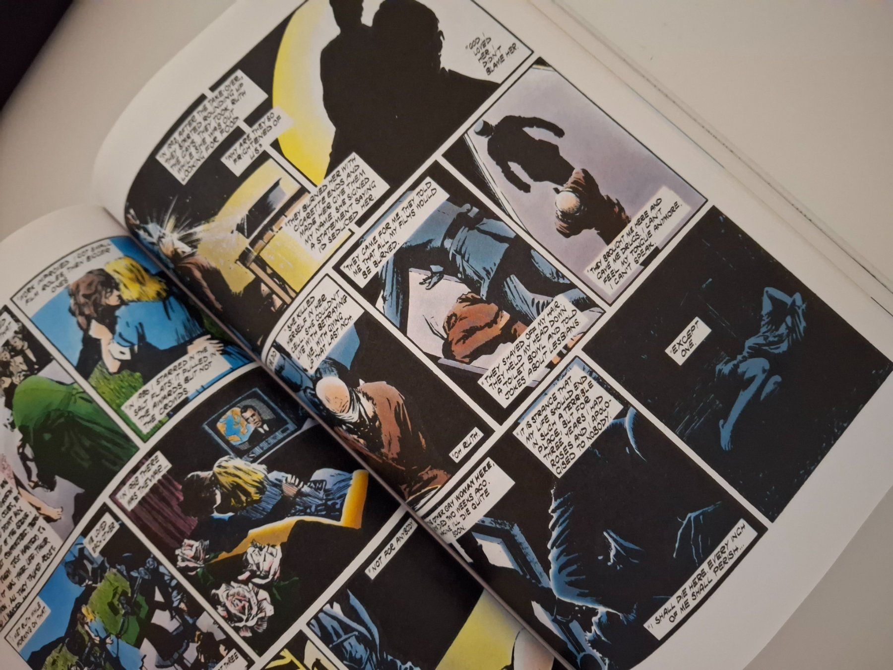 Comics: V for Vendetta Comic, Alan Moore – Gebraucht aus Walterswil SO von mel_5b2h 2