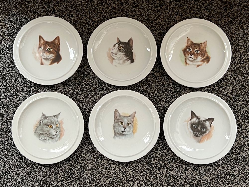 6 Dessertteller Porzellan SUISSE LANGENTHAL mit Katzenmotiv (Gebraucht ...