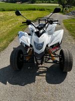 SMC RAM 323LV