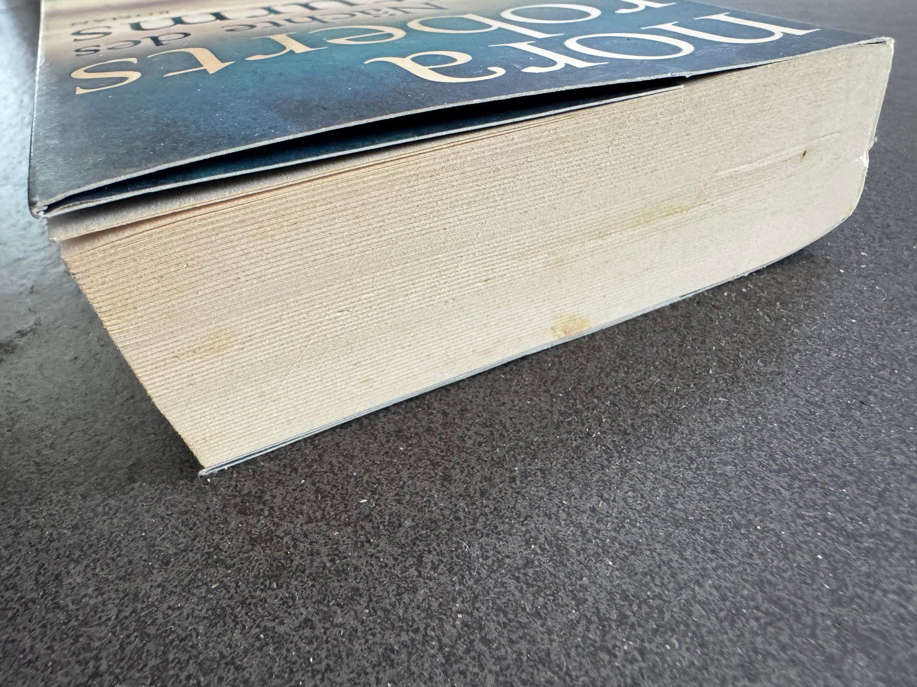 Libri: Nora Roberts "Nächte des Sturms" Roman – Usato da Fribourg venduto da tschjoly 4