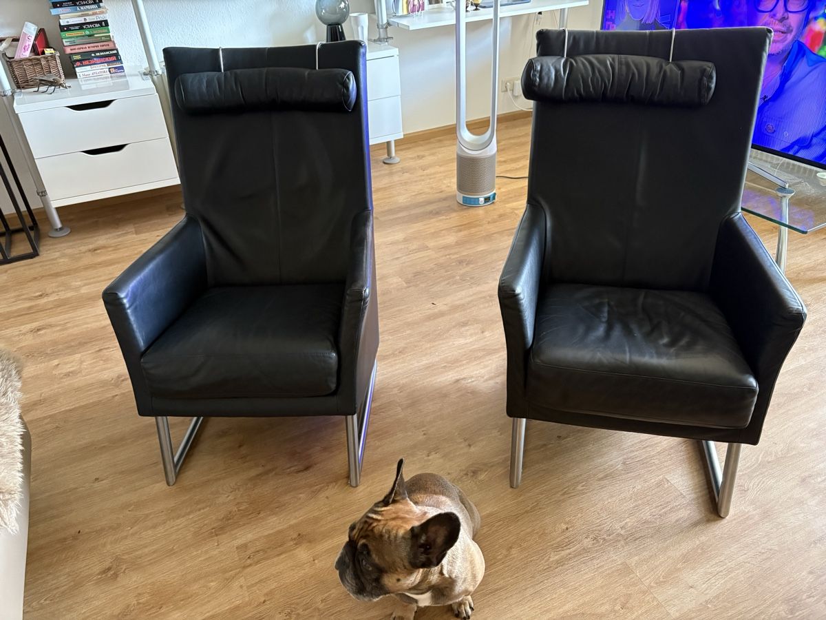 Sessel: Montis Ledersessel  – Gebraucht aus Birsfelden von jul_7wy6 6