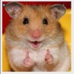 Profile image of Hamtaro71