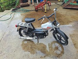 Töffli Sachs Pony Gtx 503