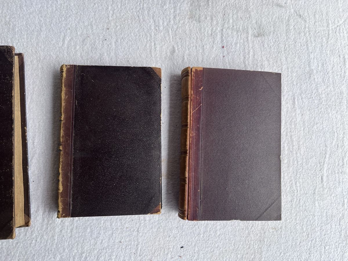 Libri: Antike Bücher (58) – Usato da Glattfelden venduto da maa_qcj8 2