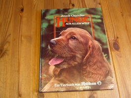 Hunde aus aller Welt  "Jennie Chandler"