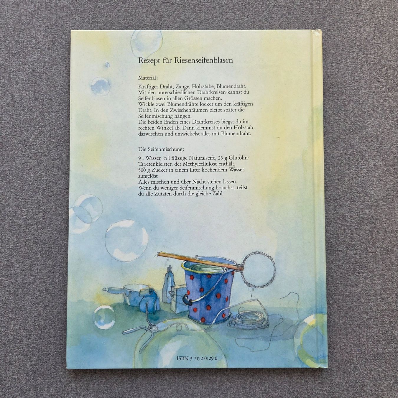 Bücher: Im Seifenblasenland Kinderbuch – Neu (gemäss Beschreibung) aus St.Gallen von Its.eli035 1
