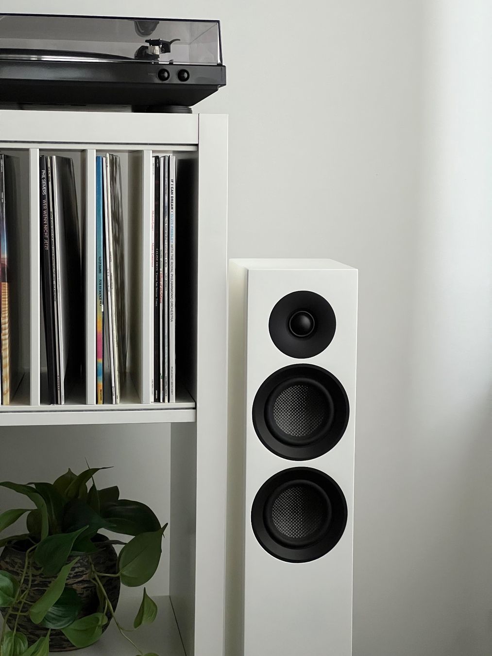 Pro-ject Casse acustiche: Pro-Ject Speaker Box 10 E Carbon - 1 Paar - mit Garantie – Usato da Basel venduto da audiophiler