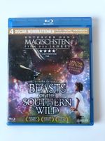 Beasts of the Southern Wild (2012) - Bluray