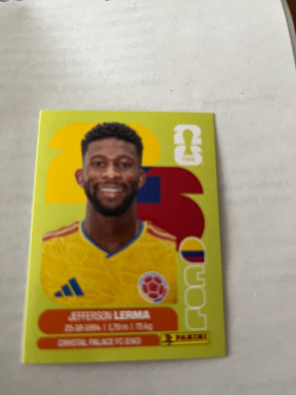 Panini Carte collezionabili: Panini World Cup 2026 – Usato da Winterthur venduto da fla_hwg8