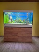 Dringend Eheim Incpiria 430 inkl Inhalt, Zubehör und Fischen